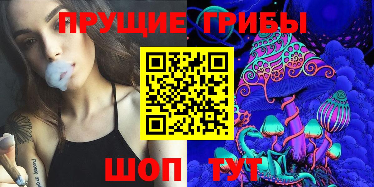 Малгобек  Псилоцибиновые грибы Psilocybe  Вход с VPN  Галлюциногенные грибы мицелий 